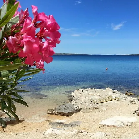 By The Sea Kosljun, Pag - 4111 * باغ