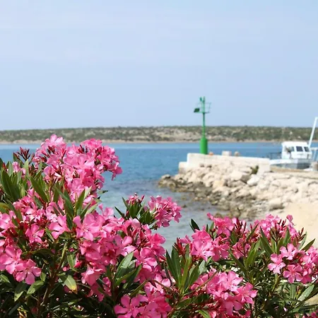 By The Sea Kosljun, Pag - 4111